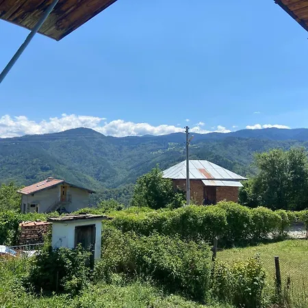 Veneta Tatil Evi